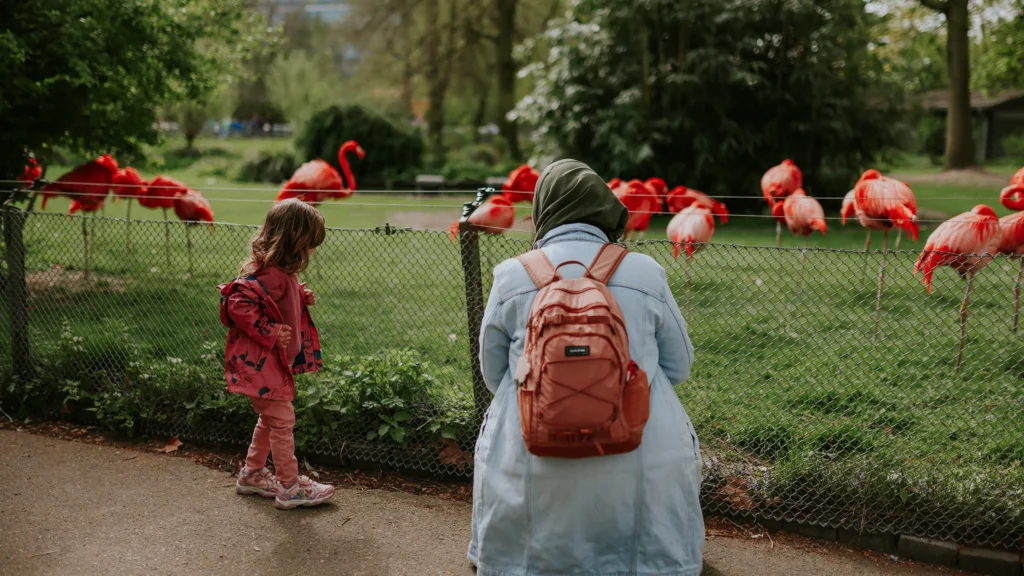 Eine Mitarbeiterin des SPFH-Teams des SkF Alsdorf schaut mit einem Kind Flamingos im Kölner Zoo an.