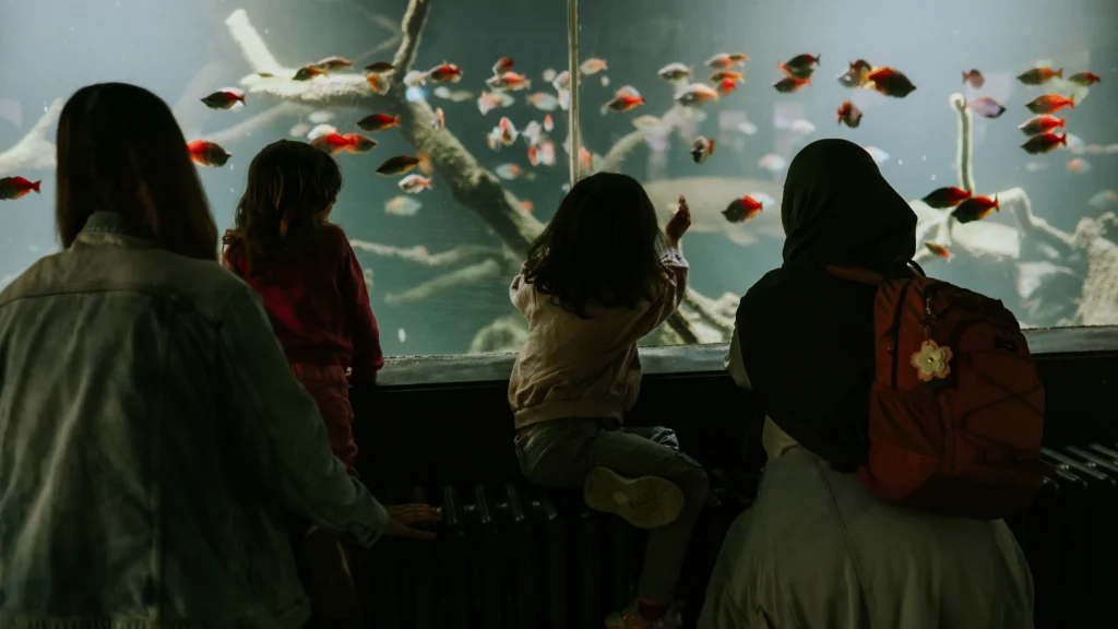 Kinder bestaunen Fische im Aquarium im Kölner Zoo dank der Allianz Stiftung für Kinder
